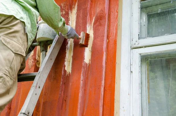 Pintor homem na escada pintar parede da casa de madeira — Fotografia de Stock