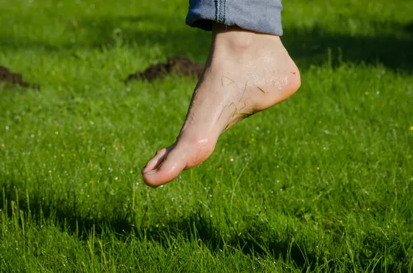 아침 풀밭에서 젖은 발에 맺힌 물 방울 — 스톡 사진