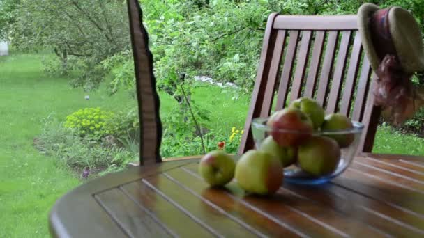 Tarro de frutas de manzana — Vídeo de stock