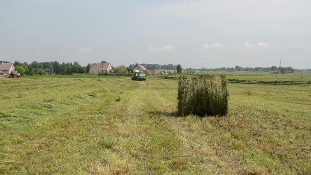 拖拉机收集干草捆 — 图库视频影像