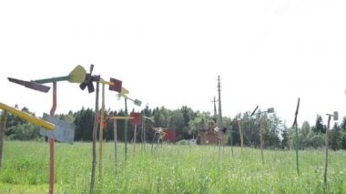 Fırıldak koleksiyonunun çimenlerin