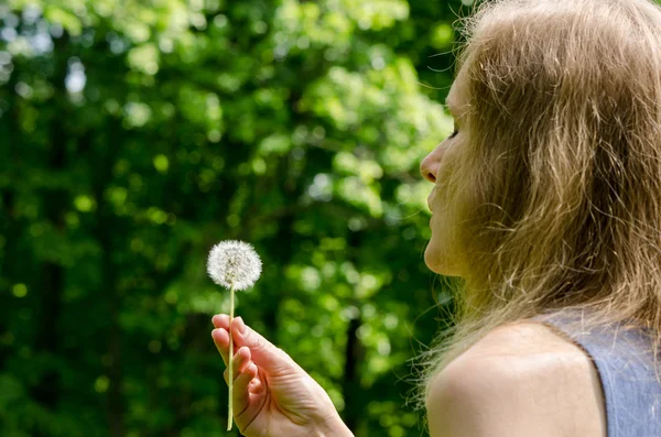 Woman hand hold  deflorated dandelion flower seeds — Stock Photo, Image