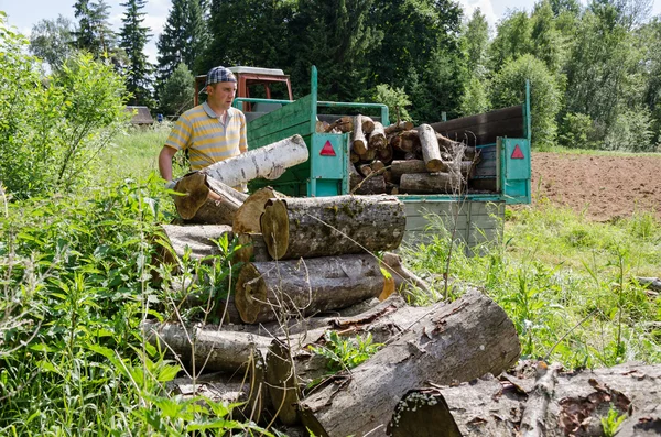 Lumberjack man load tree logs in tractor trailer — Stock Photo, Image