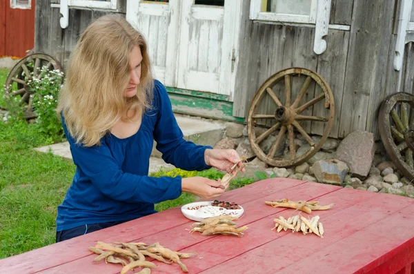 Bäuerin Schale verschiedener Art dekorative Bohnen — Stockfoto