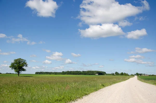 Schotterstraße und Auto verstauben — Stockfoto