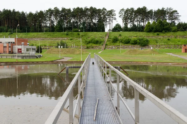 Traitement des eaux usées et oiseaux — Photo