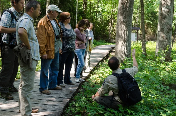 Turisti ascoltano la storia guida del parco sulle piante Immagini Stock Royalty Free