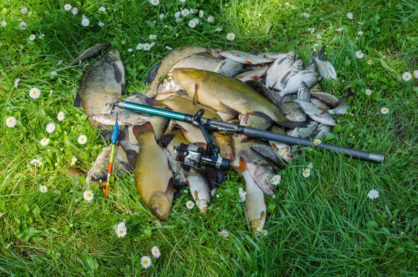 Pesce cattura pila su erba con asta e galleggiante — Foto Stock