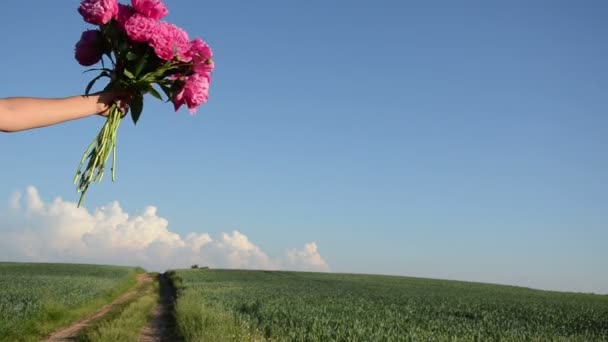 Peony bouquet hand — Stock Video