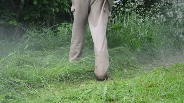 Water drop wet grass cut — Stock Video