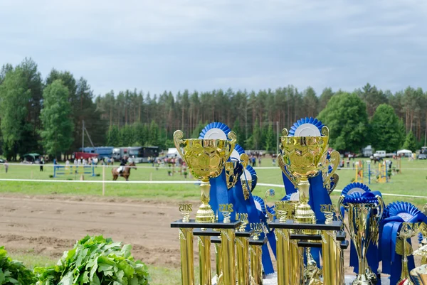 Horse racing cups awards prepared for winners — Stock Photo, Image