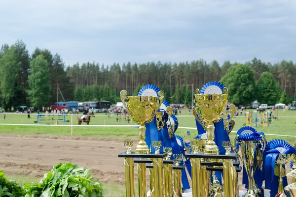 Pferderennsport-Pokale für Sieger vorbereitet lizenzfreie Stockbilder