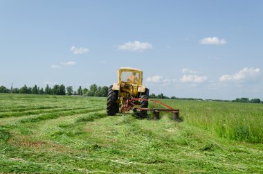 Traktör markası sharp açmak ve kesilmiş çimen tufts yaprakları 