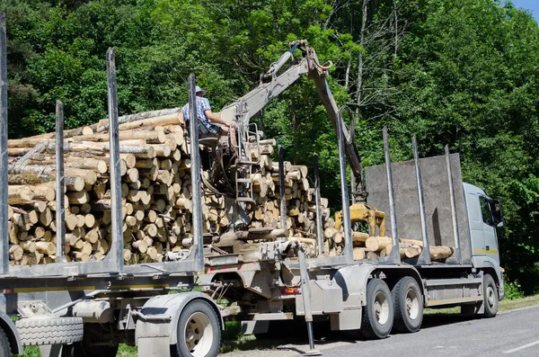 Man with special equipment load truck with logs — Stock Photo, Image