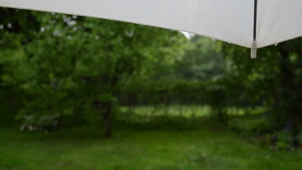 水ドロップ傘雨 — ストック動画