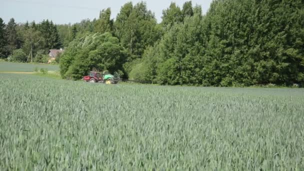 Maíz de campo tractor — Vídeos de Stock