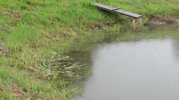 Βροχή πέφτουν λίμνη νερού λιμνών雨落湖池塘里的水 — 图库视频影像