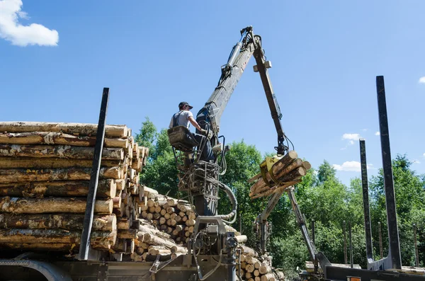 Forest worker lastning log med kran i trailer — Stockfoto