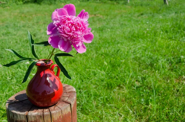 Peony in clay handmade pitcher on stump outdoor — Stock Photo, Image