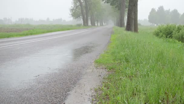 Agua de lluvia sobre asfalto — Vídeo de stock