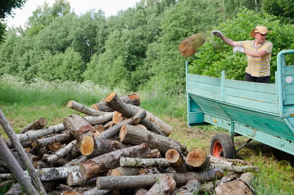 Rolnik człowiek unload drzewo dzienniki opał z przyczepą — Zdjęcie stockowe