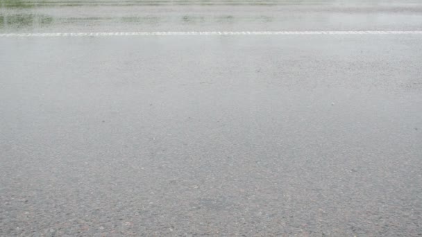 Agua de lluvia de asfalto — Vídeo de stock