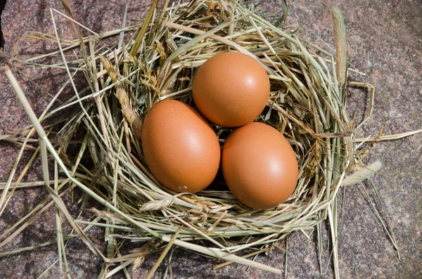 Chicken eggs in nest of hay on stone outdoor — Stock Photo, Image