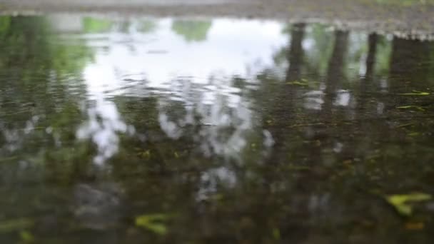 水坑雨水滴 — 图库视频影像