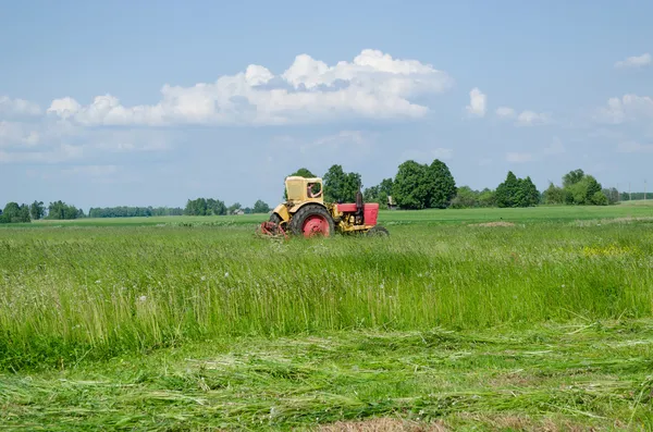 Meadow lie memotong rumput dari garis halus — Stok Foto