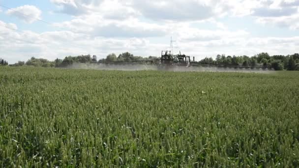 Protection chimique des mauvaises herbes 