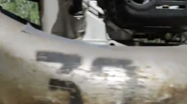 Papatya çiçek olarak çayır ve işçi çim kesme biçme kesme çim