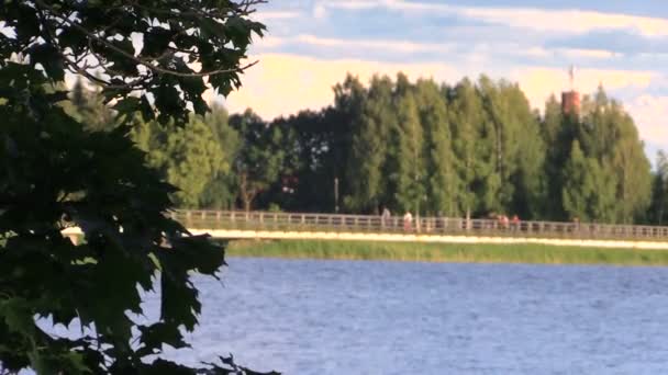 La gente camina sobre un puente de madera sobre el lago y las hojas se mueven — Vídeos de Stock