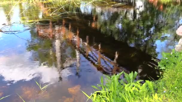 Weerspiegelen houten brug reling op duidelijke rivier. zonnige dag park. — Stockvideo