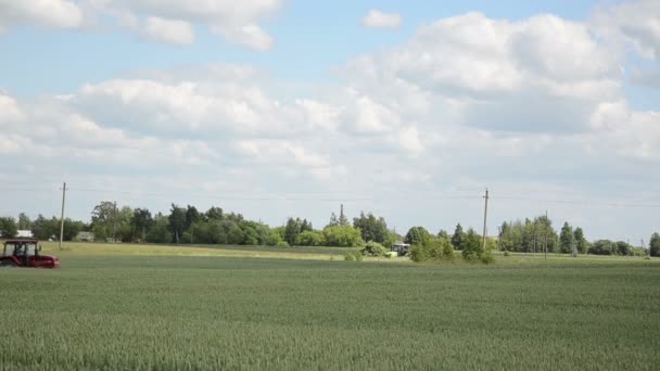 Trekker spray groene gewas veld op boerderij zonnige dag. focus wijzigen. — Stockvideo