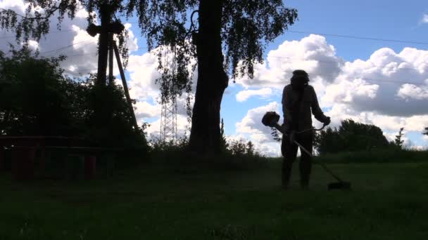 Silhouette eines Arbeiters mäht Gras vor wolkenverhangenem Himmel — Stockvideo
