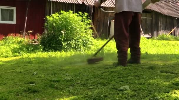 Worker cut lush grass in village with petrol trimmer, tripod pan — Stock Video