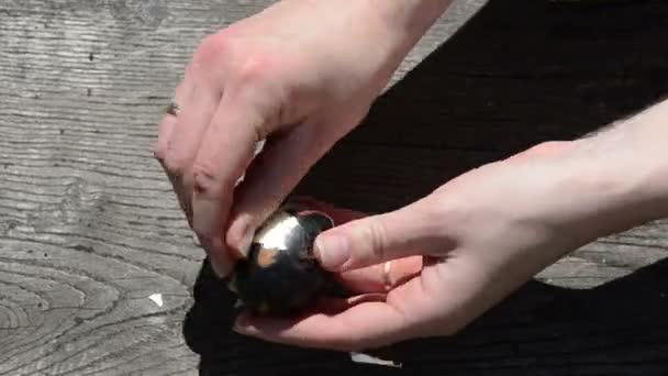 Hand peel colorful boiled Easter egg on old wooden board — Stock Video