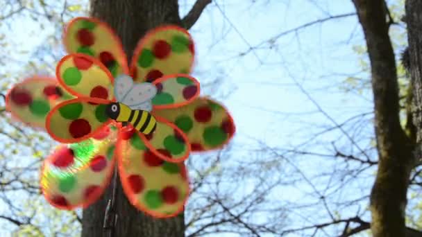 Sluiten van kind kunststof wind speelgoed spin tegen hemel — Stockvideo