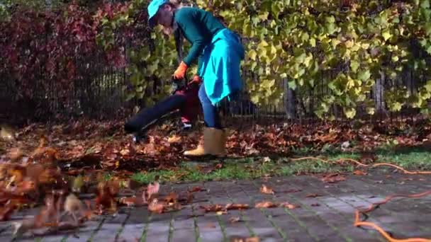 Frau mit Laubbläser bläst Laub auf Parkplatz — Stockvideo