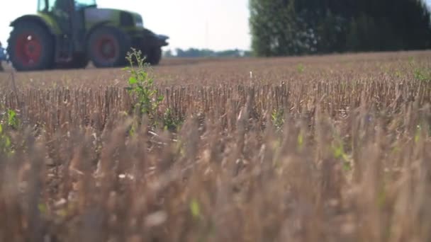 Agricultura tractor borroso preparación de campo de rastrojos para la siembra — Vídeos de Stock