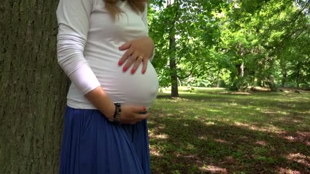 Zbliżenie kobiety w ciąży brzuch i dłonie udar pieszczoty brzuch — Wideo stockowe
