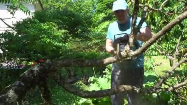 Talaş uçar, insan ağacı parçalara ayrılırken görür. Gimbal dengeleyici atış.