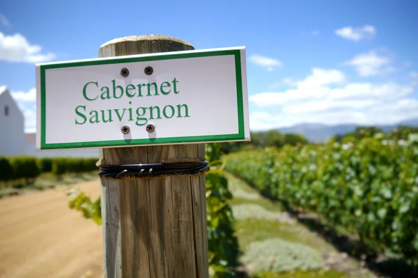 Σημάδι για το cabernet sauvignon σταφύλια στο αμπέλι — Φωτογραφία Αρχείου