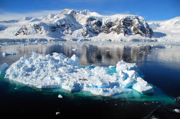 Tela de hielo — Foto de Stock