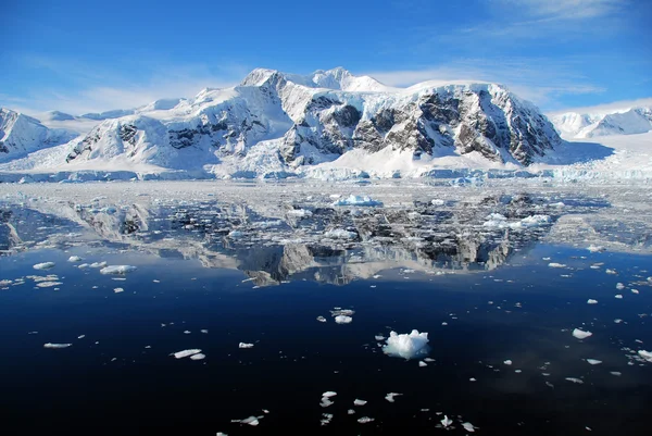 Льдины в антарктиде — стоковое фото