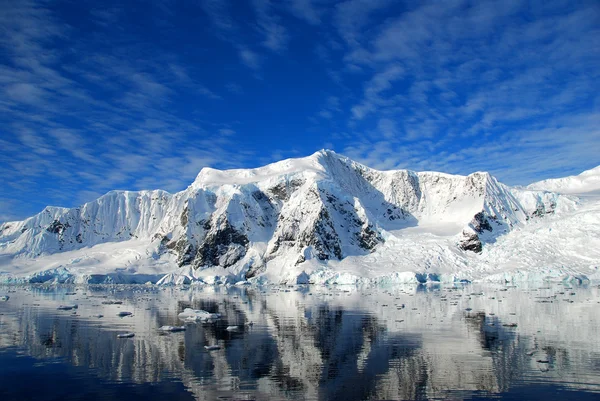 Pakijs in antarctica — Stockfoto