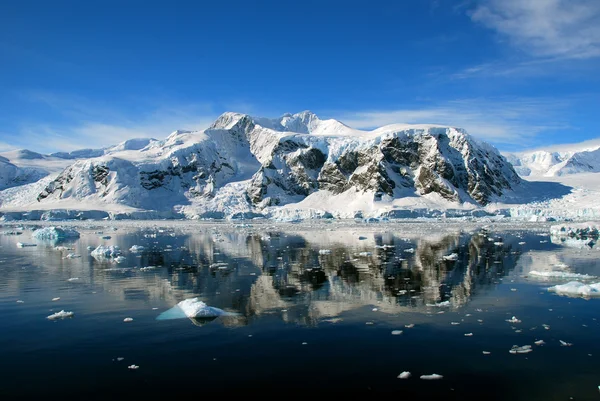 Iceberg in antarctica Stock Image