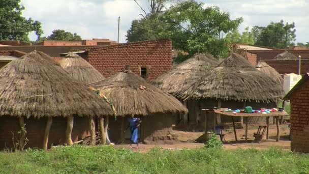 Aldeia cabana de lama típica na África — Vídeo de Stock