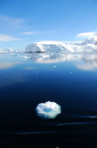 Gelo floe na antártica — Fotografia de Stock