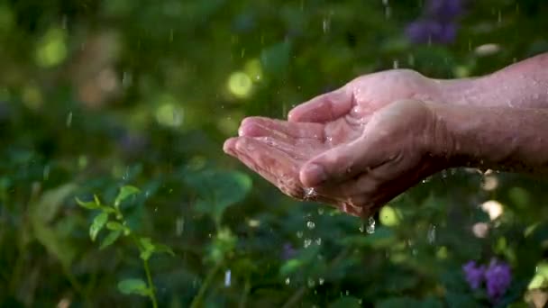 Hand Catching Rainwater Drops — Stock Video